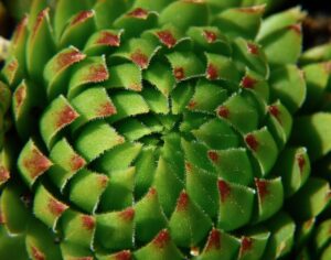 脂肪吸引後の点滴は抜管がいつ外れるのが目安？