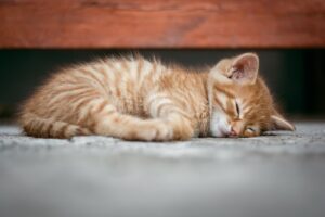 脂肪吸引後のうつ伏せや横向きの寝方のコツは？