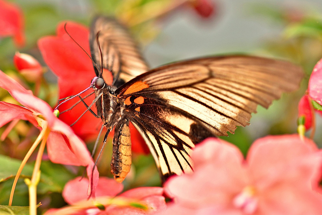 脂肪吸引シリンジ法の吸引量には制限がある？