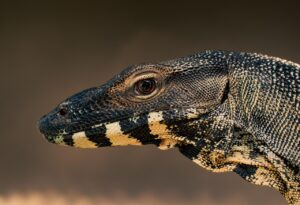 脂肪吸引モニターの条件や注意点、デメリットについて知っておくべきことは？