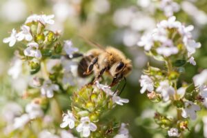 脂肪吸引のダウンタイムを短縮する方法は冷却で実現できる？