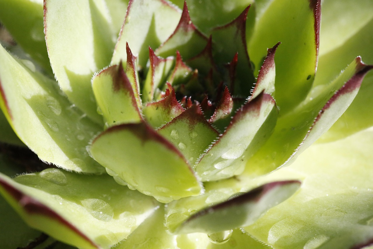 脂肪吸引後に後悔する多い理由と体験談とは？